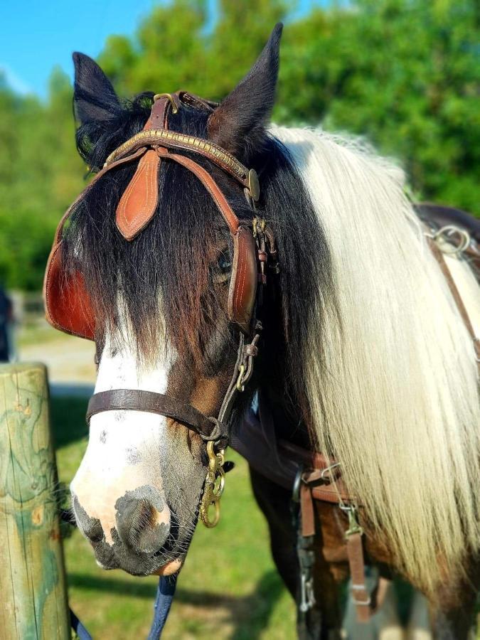 Les Chevaux De L'Hippocampe Hotel Mont-Dol ภายนอก รูปภาพ