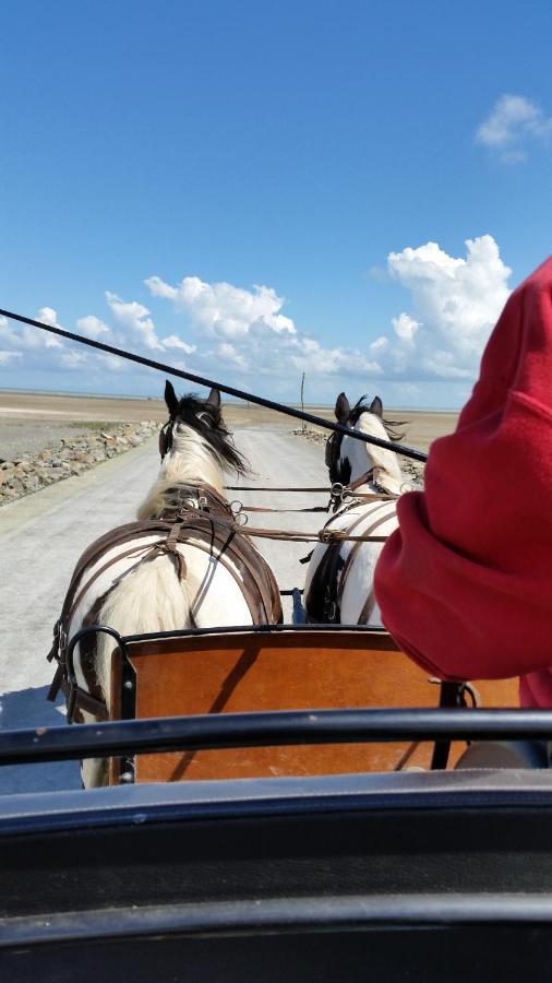 Les Chevaux De L'Hippocampe Hotel Mont-Dol ภายนอก รูปภาพ