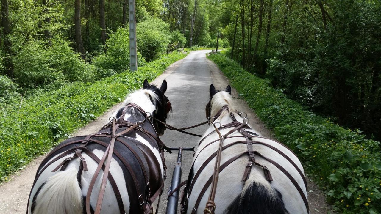 Les Chevaux De L'Hippocampe Hotel Mont-Dol ภายนอก รูปภาพ